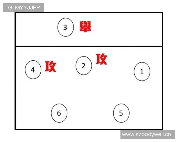 上海排球队进攻策略解析深度剖析排球战术与团队配合技巧